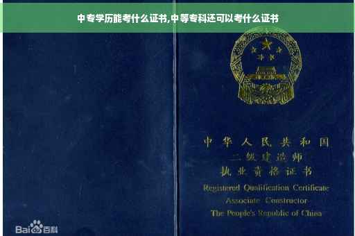 中专学历能考什么证书,中等专科还可以考什么证书 中专学历能考什么证书,中等专科还可以考什么证书