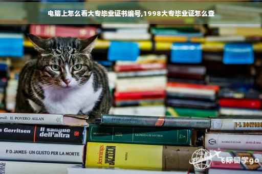 电脑上怎么看大专毕业证书编号,1998大专毕业证怎么查