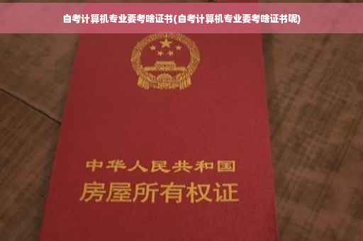自考计算机专业要考啥证书(自考计算机专业要考啥证书呢)
