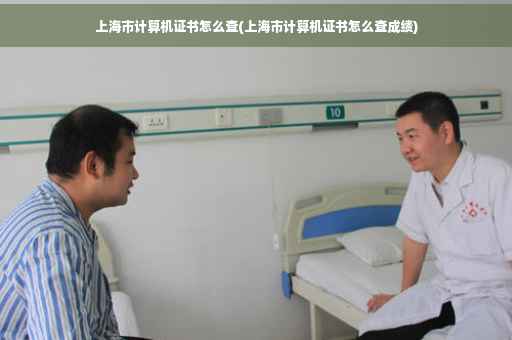 上海市计算机证书怎么查(上海市计算机证书怎么查成绩)