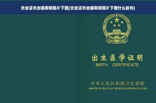 毕业证书去哪看啊图片下载(毕业证书去哪看啊图片下载什么软件)
