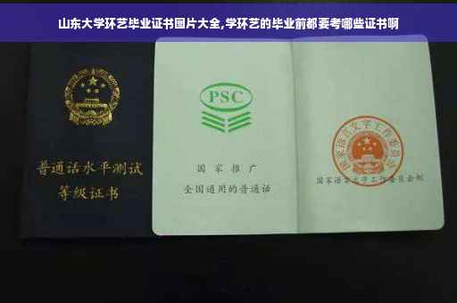 山东大学环艺毕业证书图片大全,学环艺的毕业前都要考哪些证书啊