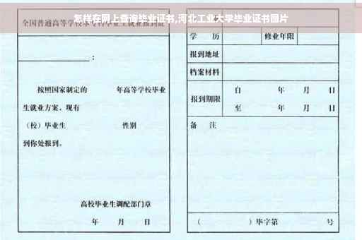 怎样在网上查询毕业证书,河北工业大学毕业证书图片