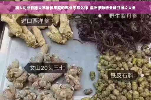 澳大利亚邦德大学法律学院的就业率怎么样-澳洲律师毕业证书图片大全