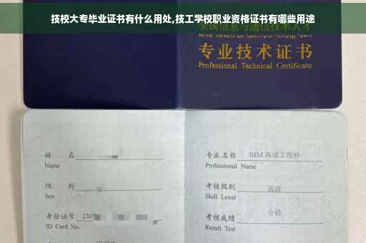 技校大专毕业证书有什么用处,技工学校职业资格证书有哪些用途
