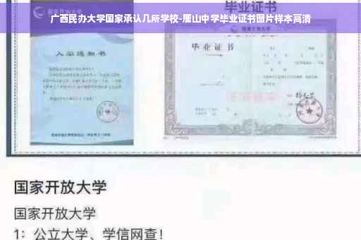 广西民办大学国家承认几所学校-鹿山中学毕业证书图片样本高清