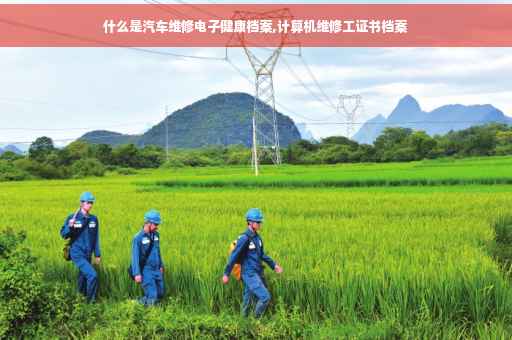 什么是汽车维修电子健康档案,计算机维修工证书档案