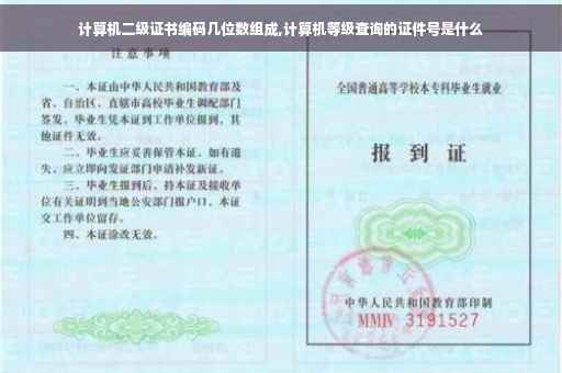 计算机二级证书编码几位数组成,计算机等级查询的证件号是什么