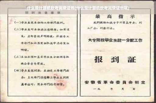 什么是计算机软考高级证书(什么是计算机软考高级证书呢)