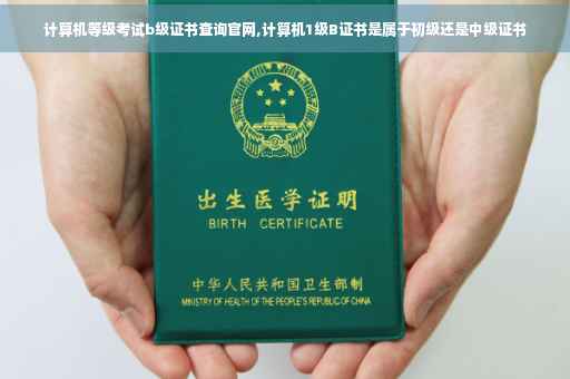 计算机等级考试b级证书查询官网,计算机1级B证书是属于初级还是中级证书