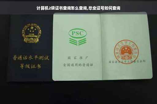 计算机2级证书查询怎么查询,毕业证号如何查询