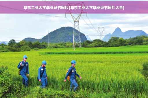 华东工业大学毕业证书图片(华东工业大学毕业证书图片大全)