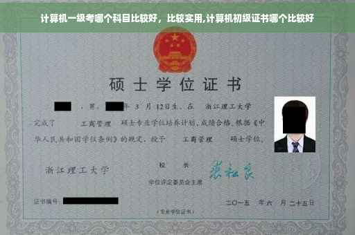 计算机一级考哪个科目比较好，比较实用,计算机初级证书哪个比较好