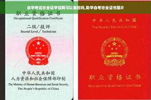自学考试毕业证学信网可以查到吗,助学自考毕业证书图片