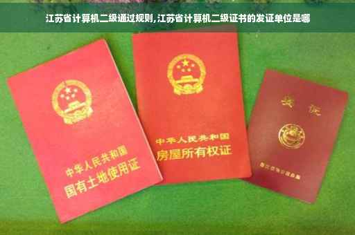 江苏省计算机二级通过规则,江苏省计算机二级证书的发证单位是哪