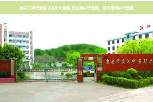 高中二年毕业证书图片大全集,职业高中毕业证，是不是高中毕业证