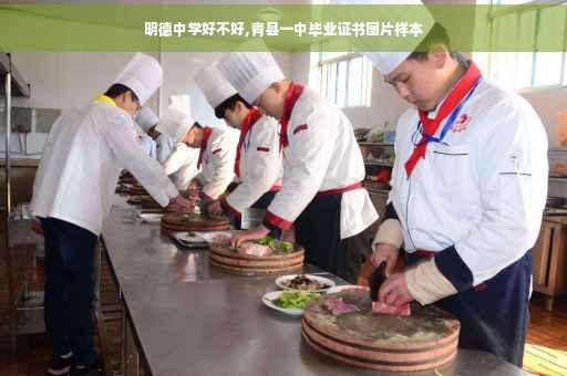 明德中学好不好,青县一中毕业证书图片样本