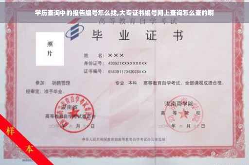 学历查询中的报告编号怎么找,大专证书编号网上查询怎么查的啊