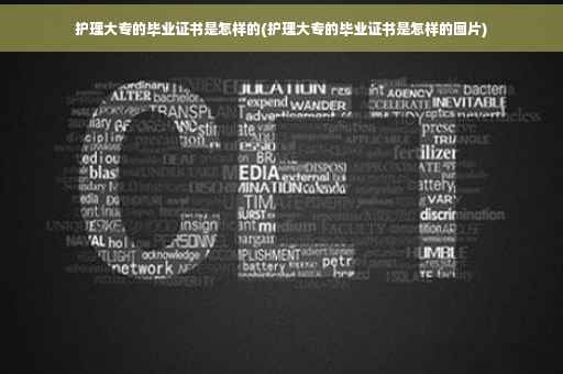 护理大专的毕业证书是怎样的(护理大专的毕业证书是怎样的图片)