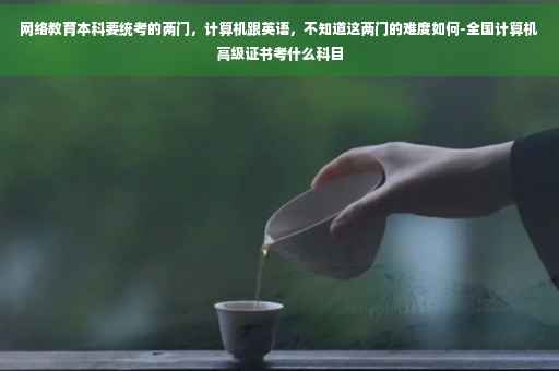 网络教育本科要统考的两门，计算机跟英语，不知道这两门的难度如何-全国计算机高级证书考什么科目