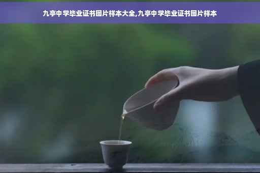 九亭中学毕业证书图片样本大全,九亭中学毕业证书图片样本