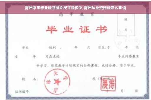 滁州中学毕业证书图片尺寸是多少,滁州从业资格证怎么申请