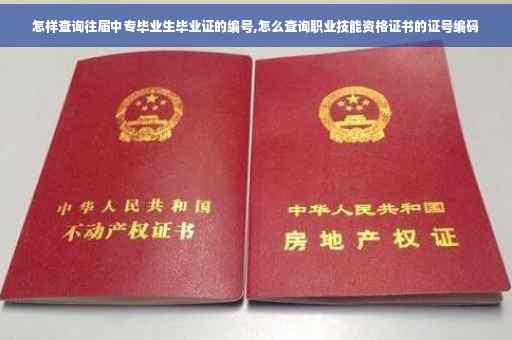 怎样查询往届中专毕业生毕业证的编号,怎么查询职业技能资格证书的证号编码