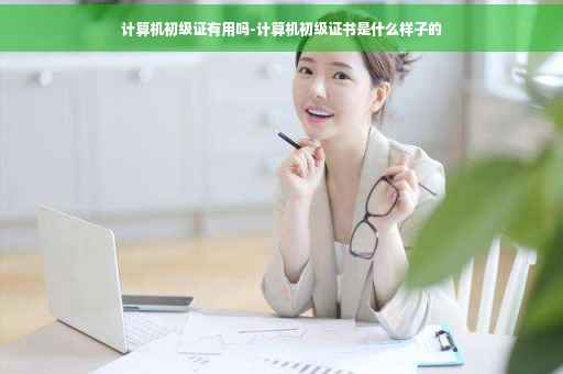 计算机初级证有用吗-计算机初级证书是什么样子的