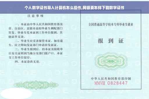 个人数字证书导入计算机怎么操作,网银要怎样下载数字证书