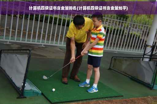 计算机四级证书含金量排名(计算机四级证书含金量知乎)