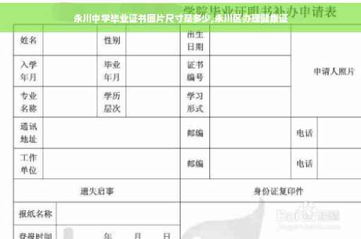 永川中学毕业证书图片尺寸是多少,永川区办理健康证
