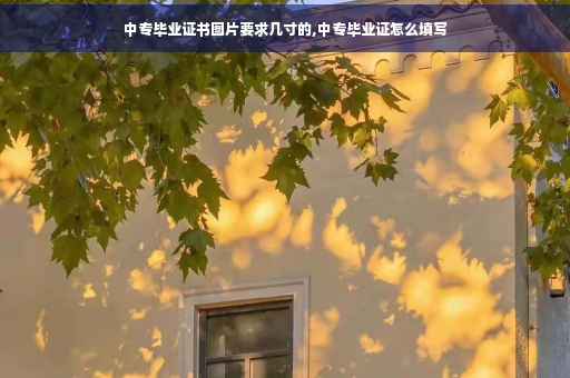 中专毕业证书图片要求几寸的,中专毕业证怎么填写