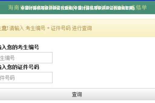中国计算机等级评级证书查询(中国计算机等级评级证书查询官网)