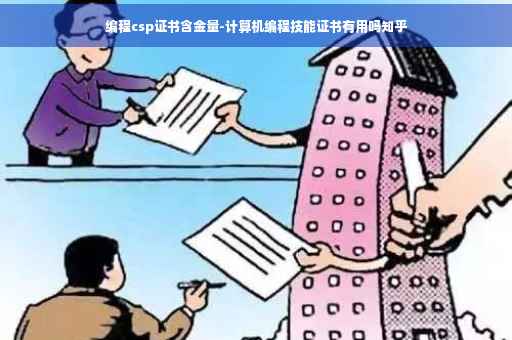 编程csp证书含金量-计算机编程技能证书有用吗知乎