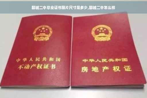 聊城二中毕业证书图片尺寸是多少,聊城二中怎么样