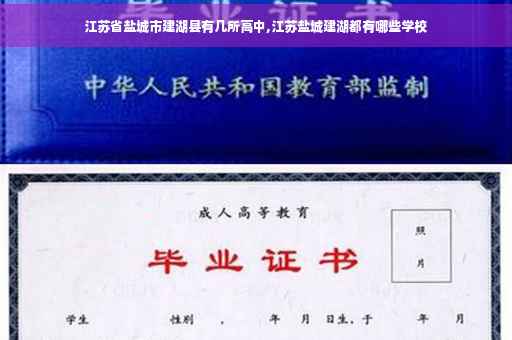 江苏省盐城市建湖县有几所高中,江苏盐城建湖都有哪些学校