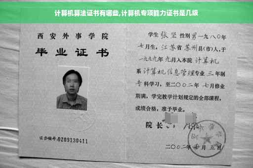 计算机算法证书有哪些,计算机专项能力证书是几级