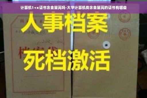 计算机1+x证书含金量高吗-大学计算机类含金量高的证书有哪些