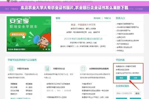 东北农业大学大专毕业证书图片,农业银行企业证书怎么重新下载