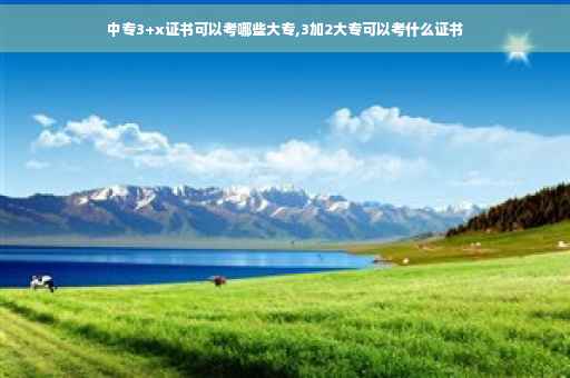 中专3+x证书可以考哪些大专,3加2大专可以考什么证书