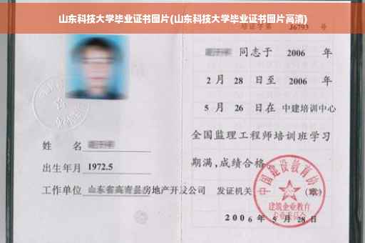 山东科技大学毕业证书图片(山东科技大学毕业证书图片高清)