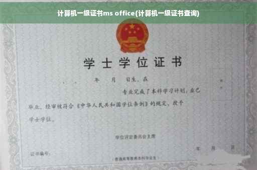 计算机一级证书ms office(计算机一级证书查询)