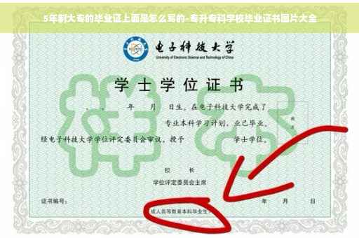 5年制大专的毕业证上面是怎么写的-专升专科学校毕业证书图片大全