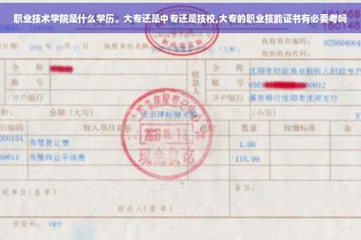 职业技术学院是什么学历。大专还是中专还是技校,大专的职业技能证书有必要考吗