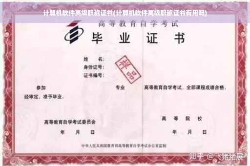 计算机软件高级职称证书(计算机软件高级职称证书有用吗) 计算机软件高级职称证书(计算机软件高级职称证书有用吗)
