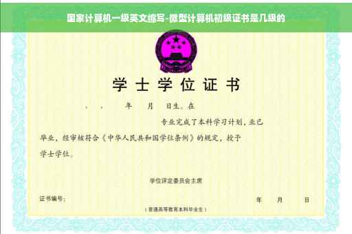 国家计算机一级英文缩写-微型计算机初级证书是几级的