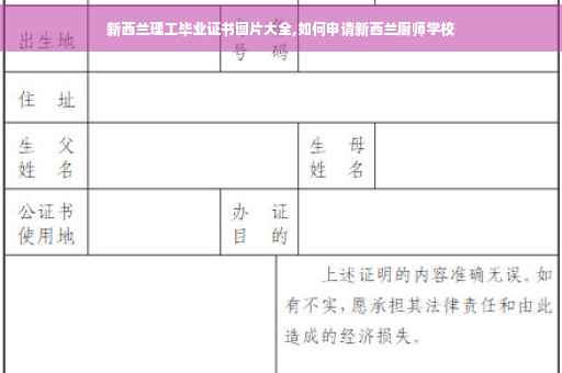 新西兰理工毕业证书图片大全,如何申请新西兰厨师学校