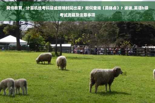网络教育，计算机统考科目成绩啥时间出来？如何查询（具体点）？谢谢,英语b级考试流程及注意事项
