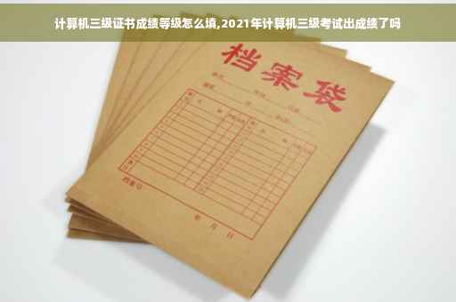 计算机三级证书成绩等级怎么填,2021年计算机三级考试出成绩了吗