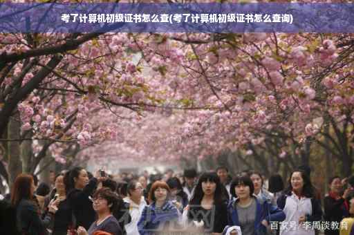 考了计算机初级证书怎么查(考了计算机初级证书怎么查询)